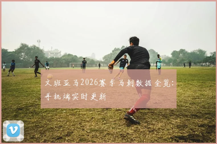 文班亚马2026赛季马刺数据全览：手机端实时更新